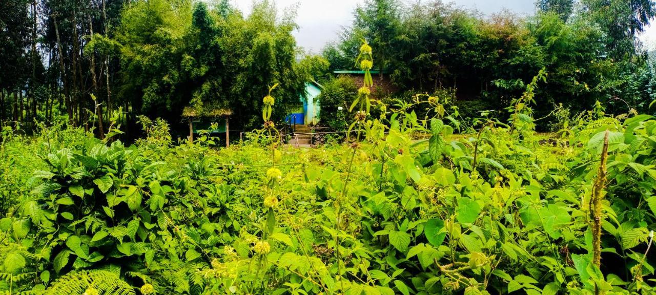 Under Volcanoes View Guest House Nyarugina Bagian luar foto