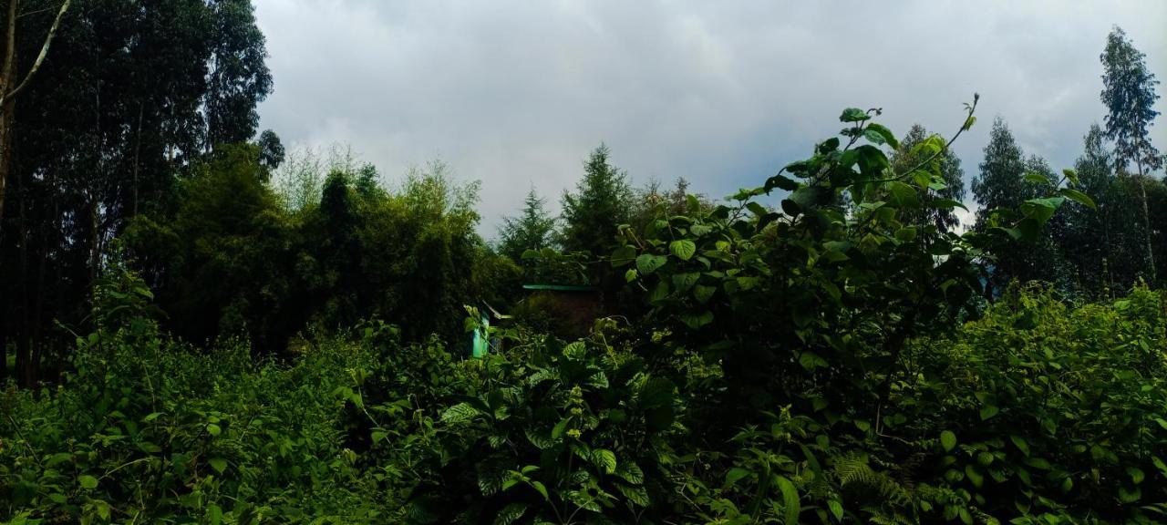 Under Volcanoes View Guest House Nyarugina Bagian luar foto