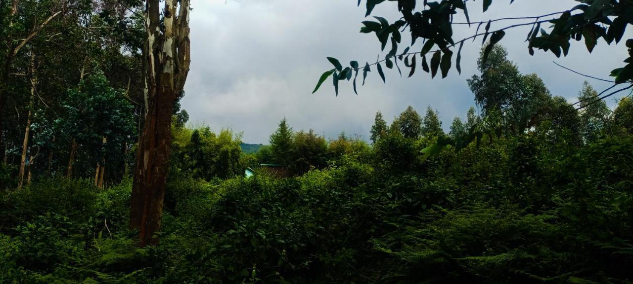 Under Volcanoes View Guest House Nyarugina Bagian luar foto
